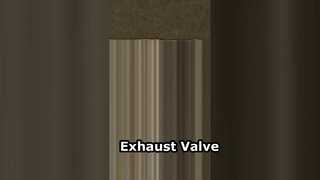 87618353-0 válvula de escape